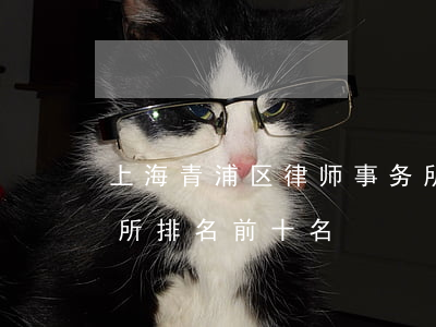 上海青浦区律师事务所(上海青浦区律师事务所排名前十名)