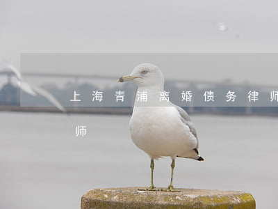 上海青浦离婚债务律师(上海青浦离婚债务律师)
