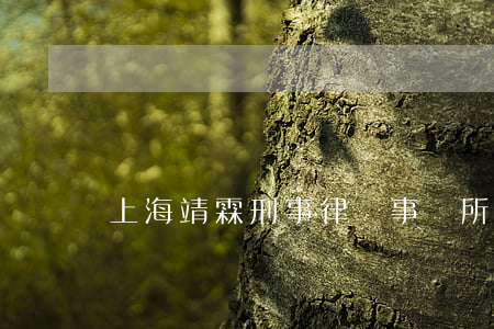 上海靖霖刑事律師事務所