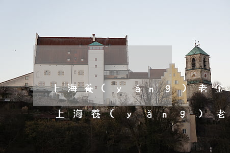 上海養(yǎng)老金調(diào)整(上海養(yǎng)老金調(diào)整最新消息 個人 公司)