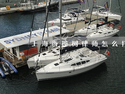 上海香樟树律师怎么打(上海香樟树律师怎么打)