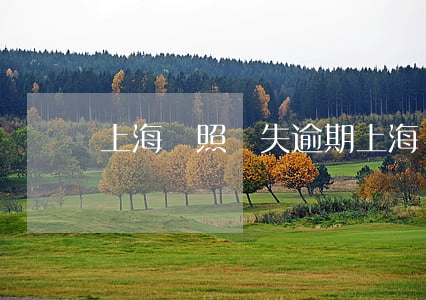 上海駕照丟失逾期(上海駕照遺失)