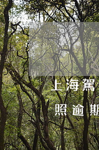 上海駕照逾期一個月沒換證怎么辦-上海駕照逾期一個月沒換證怎么辦啊