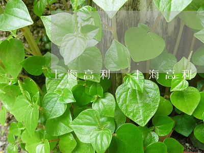 上海高利貸(上海高利貸)