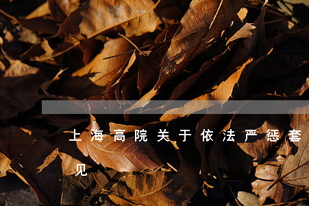 上海高院关于依法严惩套路贷犯罪的工作意见
