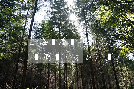 上海黃浦動(dòng)遷糾紛律師(上海市楊浦區(qū)動(dòng)遷律師)