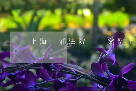上海黃浦法院動遷案例(上海法院對動遷案例)
