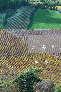 上海黄浦区律师事务所排名(上海黄浦区律师事务所排名) 上海黄浦区律师事务所排名(上海黄浦区律师事务所排名)