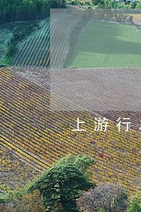上游行為對掩飾隱瞞犯罪所得罪的影響