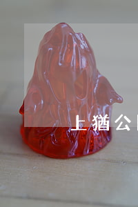 上猶公開宣判（上猶開發(fā)商逾期起訴）