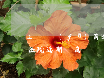 上猶開發(fā)商逾期被起訴(上猶縣人民法院近期開庭)