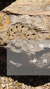 上班2個月沒簽合同怎么賠償(上班二年沒簽合同被辭退怎么補(bǔ)償)