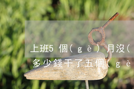 上班5個(gè)月沒(méi)簽合同賠多少錢(干了五個(gè)月沒(méi)簽勞動(dòng)合同怎么賠償)