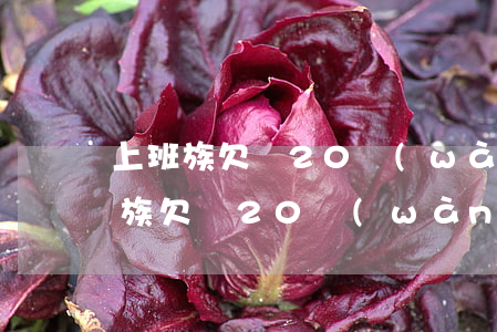 上班族欠債20萬(wàn)怎么辦-上班族欠債20萬(wàn)怎么辦呢