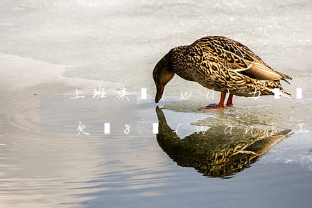 上班族無(wú)力償還8萬(wàn)元 欠債8萬(wàn)工資5000