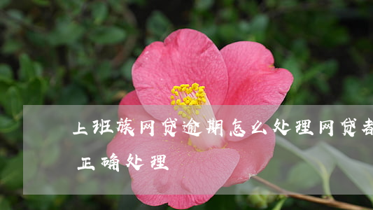 上班族网贷逾期怎么处理(网贷都逾期了怎么正确处理)