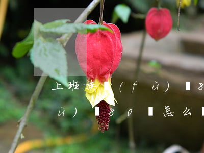 上班族負(fù)債80萬-上班族負(fù)債80萬怎么辦