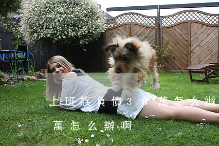上班族負債30萬怎么辦-上班族負債30萬怎么辦啊