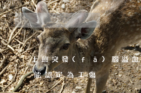 上班突發(fā)腦溢血12天后去世是否能認定為工傷