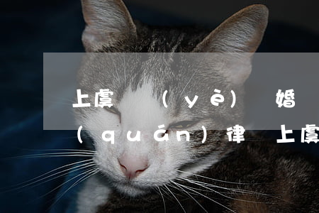 上虞專業(yè)離婚撫養(yǎng)權(quán)律師(上虞婚姻律師)