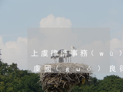 上虞律師事務(wù)所哪個(gè)好(上虞國(guó)良律師事務(wù)所)