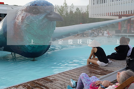 上訴一定要找律師嗎(上訴找律師一般多少錢)