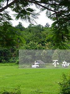 上訴不加刑(上訴不加刑)