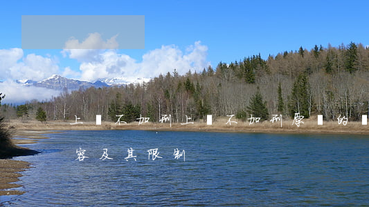 上訴不加刑(上訴不加刑原則的內(nèi)容及其限制)