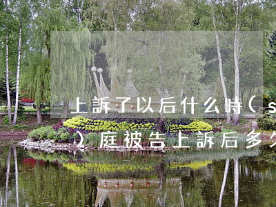 上訴了以后什么時(shí)候開(kāi)庭(被告上訴后多久開(kāi)庭呢)