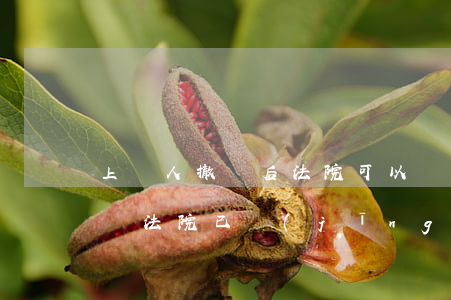 上訴人撤訴后法院可以強別執(zhí)行嗎(法院已經(jīng)強制執(zhí)行了還可以撤訴嗎?)