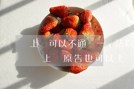 上訴可以不通過一審法院嗎(被告不服一審判決上訴,原告也可以上訴嗎)
