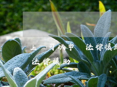 上訴可以申請法律援助嗎(民事訴訟被告申請法律援助)