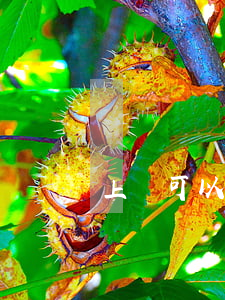 上訴可以變更理由嗎