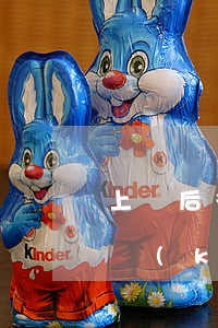 上訴后多久開(kāi)庭(提出上訴后多久開(kāi)庭)