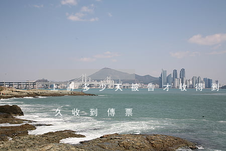 上訴多少天被告才收得到傳票(被上訴一般多久收到傳票)