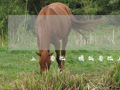 上訴委托書模板(委托上訴書怎么寫)