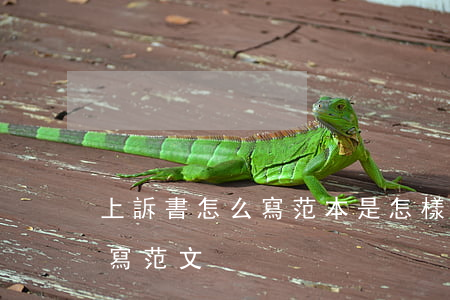 上訴書怎么寫范本是怎樣的(民事上訴狀怎么寫范文)
