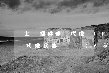 上訴案件律師代理費(fèi)怎么收(律師代理民事訴訟費(fèi))
