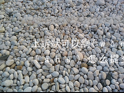 上訴狀可以網(wǎng)上提交嗎(上訴書(shū)怎么提交)