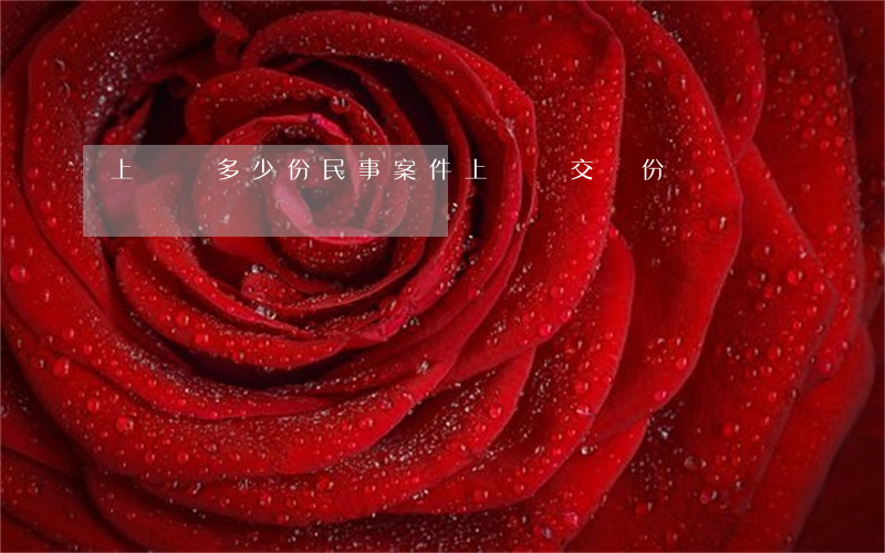 上訴狀多少份(民事案件上訴狀交幾份)