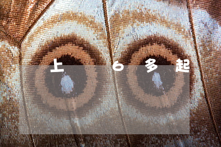 上訴狀寫6頁多嗎(起訴狀每頁要簽字嗎)