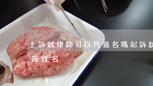 上訴狀律師可以代簽名嗎(起訴狀律師可以代簽姓名)