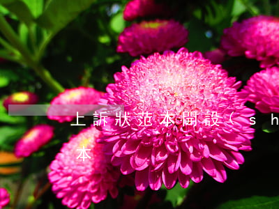上訴狀范本(開設(shè)賭場罪上訴狀范本)