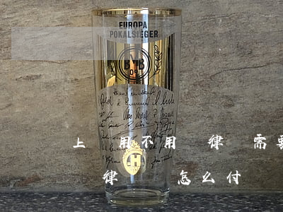 上訴用不用請律師需要多少錢(請律師對方上訴,律師費怎么付)