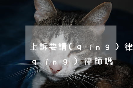 上訴要請(qǐng)律師嗎(上訴需要請(qǐng)律師嗎)