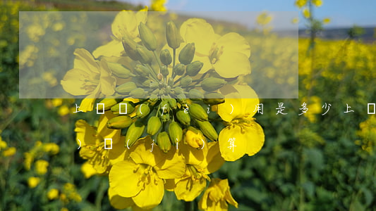 上訴費(fèi)用是多少(上訴費(fèi)計(jì)算)