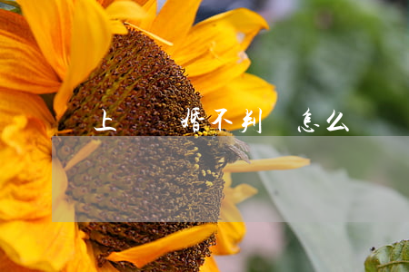 上訴離婚不判離怎么辦