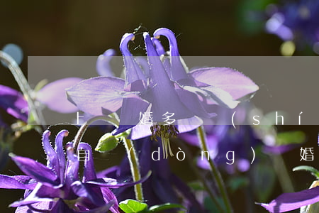 上訴離婚多長時(shí)間會(huì)自動(dòng)離婚