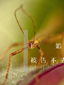 上訴離婚被告不應(yīng)訴(起訴離婚被告不去)