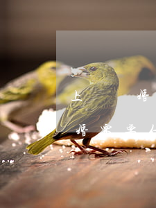 上訴離婚都需要辦什么手續(xù)(起訴離婚需要什么手續(xù))